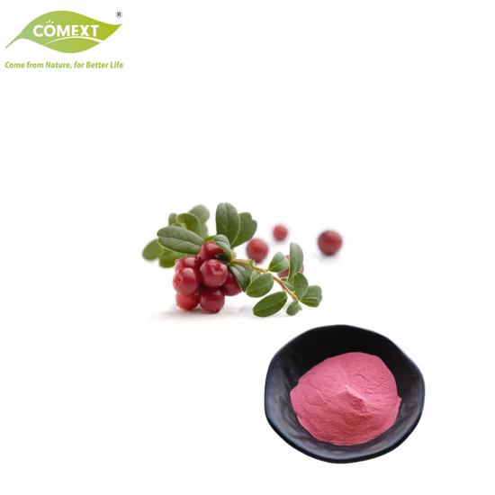 Comext Fornitura Estratto vegetale naturale puro al 100% Polvere di mirtillo rosso Polvere di succo Proantocianidine Estratto di mirtillo rosso