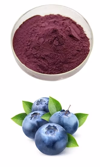 Polvere di estratto di sambuco nero di antociani sfusi di alta qualità al 25%.