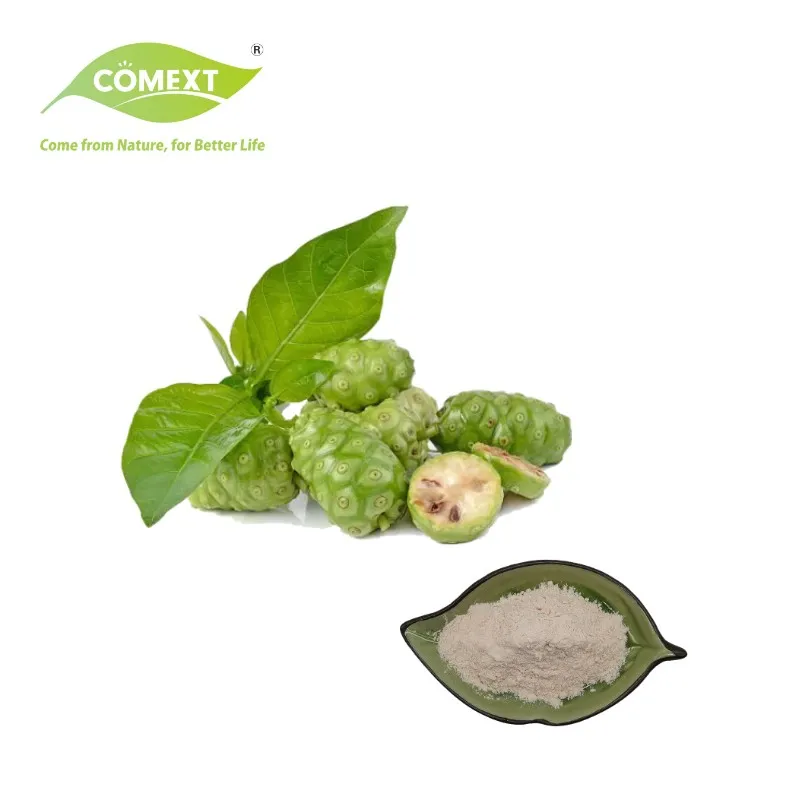 Comext Herbway Integratori naturali Vendita diretta in fabbrica Morinda Citrifolia Linn Noni Estratto Estratto vegetale