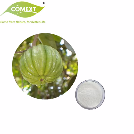 Comext Plant Extract Factory Additivo alimentare naturale per la perdita di peso Estratto di Garcinia Cambogia (HCA) 0%