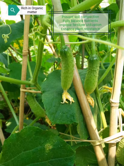 Composto di origine di soia Fertilizzante solubile in acqua Origine vegetale vegetale naturale 80% di aminoacidi